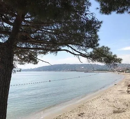 Juan Les Pins, T2 Cosy Et Confortable, Avec Parking En Sous-sol, Proche Plages Et Commerces Appartamento